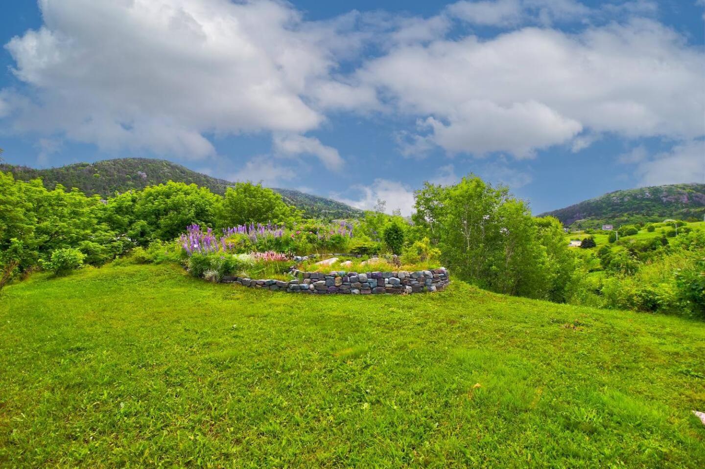 The Vista At Quidi Vidi - Stunning Views & Trails Villa St. John's Buitenkant foto